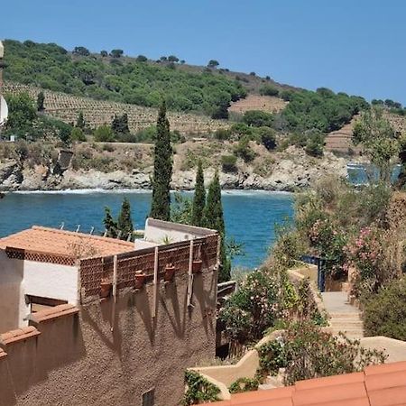 Studio Acces Direct A La Plage Banyuls-sur-Mer Ngoại thất bức ảnh