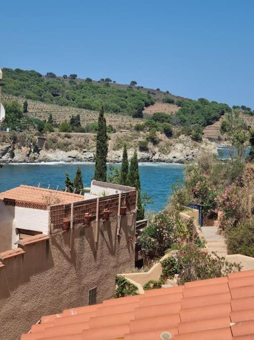 Studio Acces Direct A La Plage Banyuls-sur-Mer Ngoại thất bức ảnh